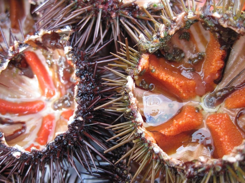 Mediterranean Delicacies